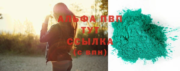 шишки Белокуриха