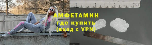 шишки Белокуриха
