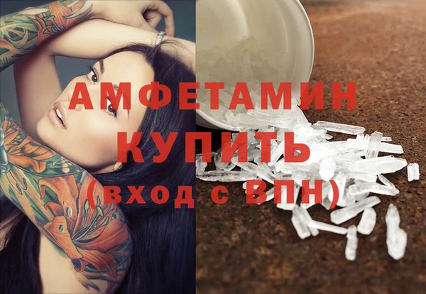шишки Белокуриха