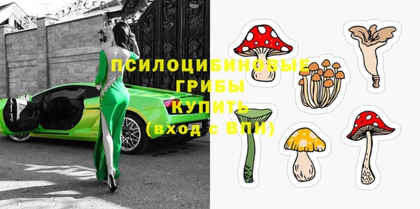 скорость Приозерск