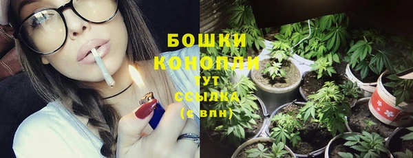 шишки Белокуриха