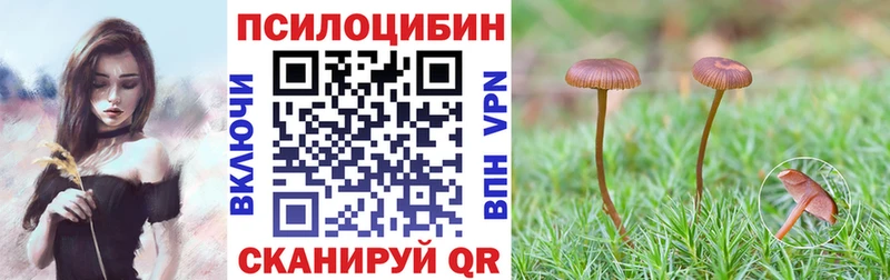 Галлюциногенные грибы Psilocybine cubensis  магазин    Трёхгорный 